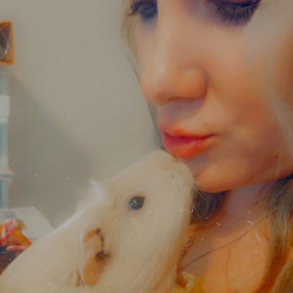 🐹 Shop to Support Southern Maryland Guinea Pig Rescue! 🐹